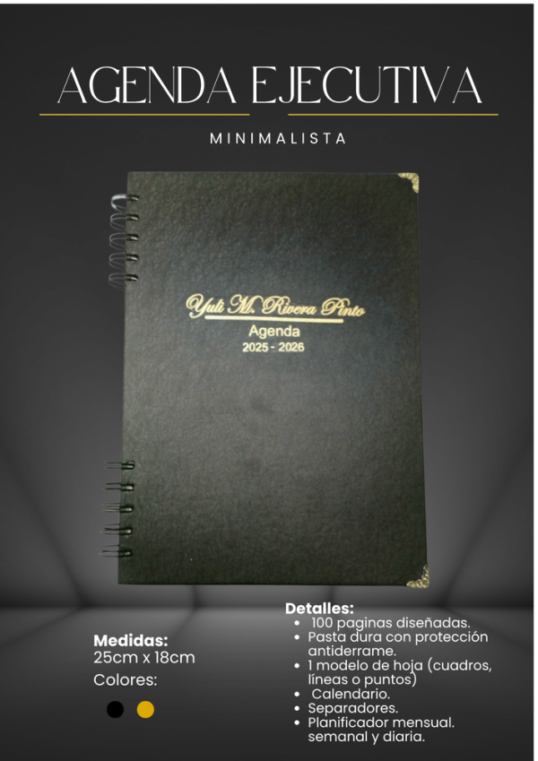 Ejecutiva Minimalista